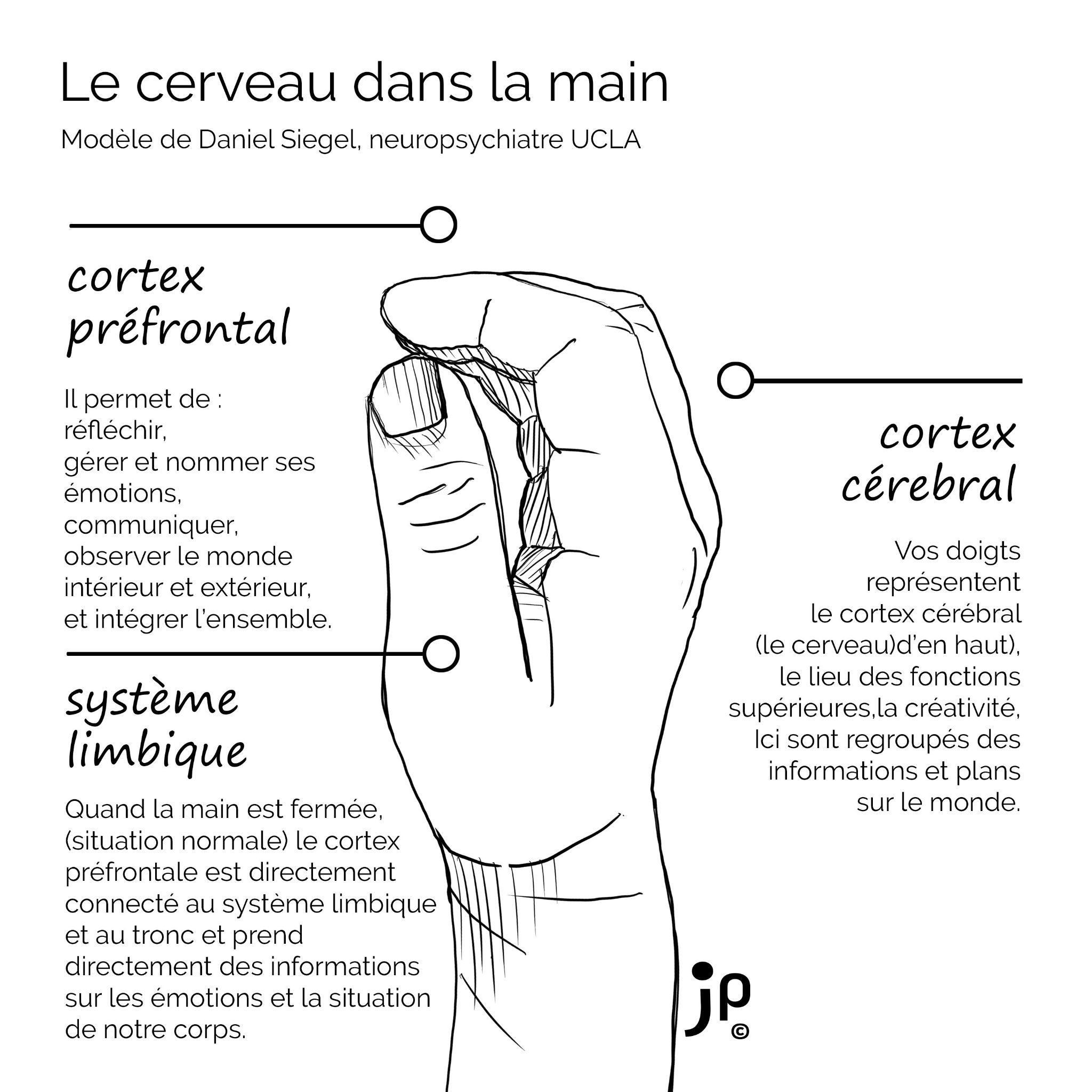 Figure du manuscrit, page 223.